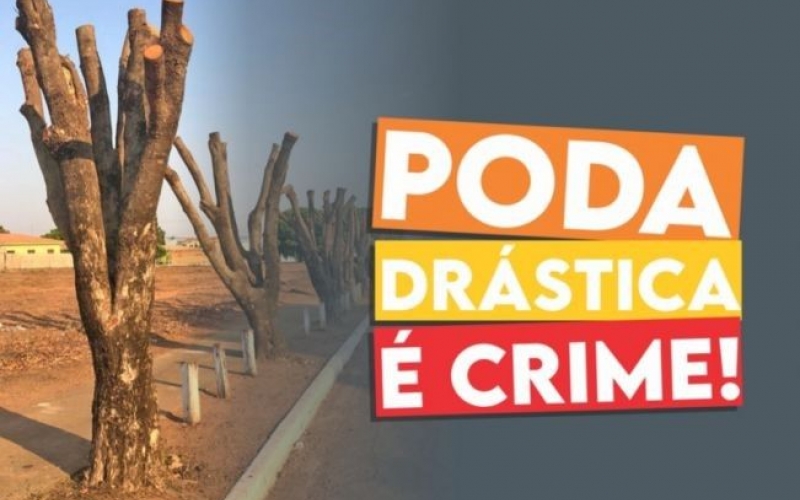 PODA DRÁSTICA É CRIME