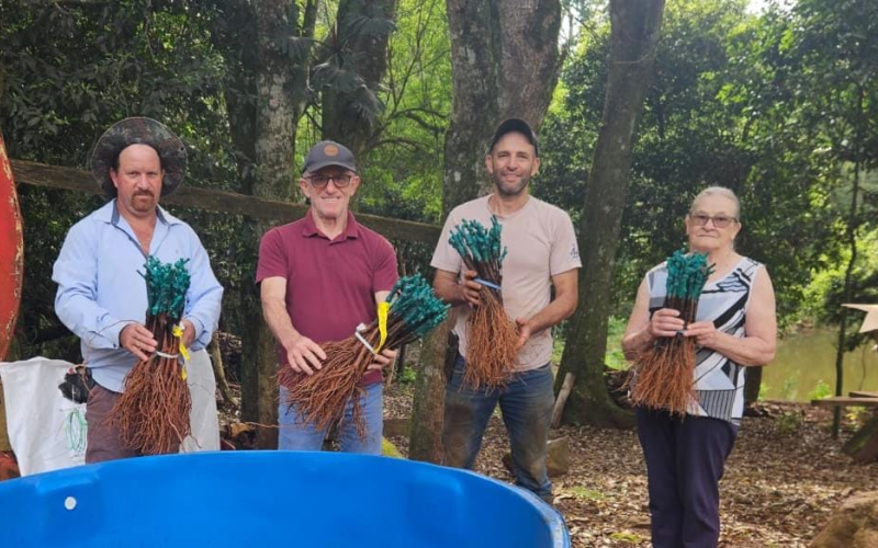 Família de Pranchita investe no cultivo de uvas com apoio técnico da Secretaria de Agricultura